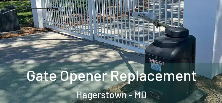 Gate Opener Replacement Hagerstown - MD