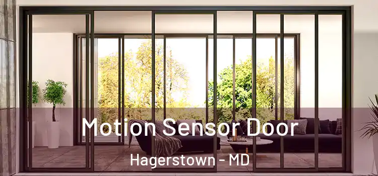 Motion Sensor Door Hagerstown - MD